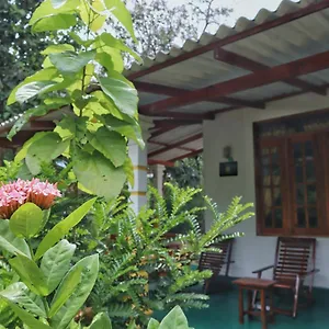 Flora Ravi Sigiriya